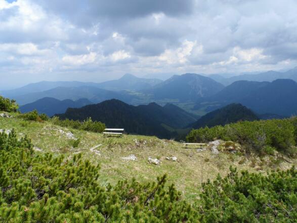 Panorama am Hochfelln
