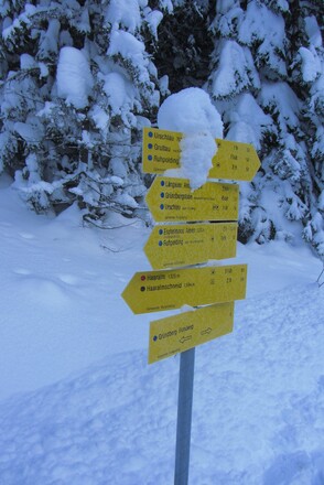 Wegweiser auf der Forststraße nördlich des Gründbergs