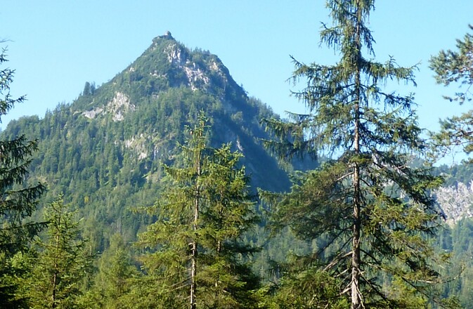 Ruhpoldinger Bergwelt