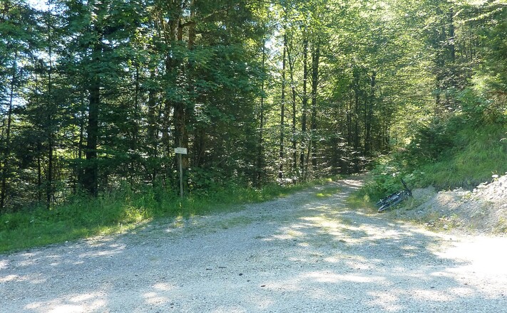 Abzweigung Sellarnalm