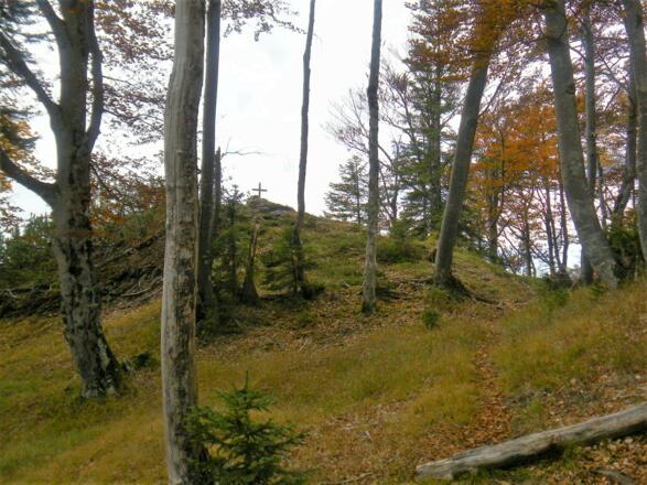 Gipfelkuppe des Richtstrichkopfs