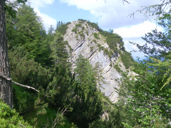 Hausgrabenkopf