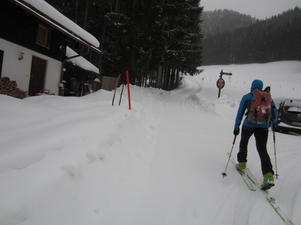 den Nesslauer Graben auf der Forststraße aufwärts