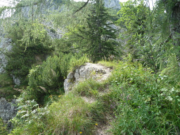 Aufstieg zum Silleck