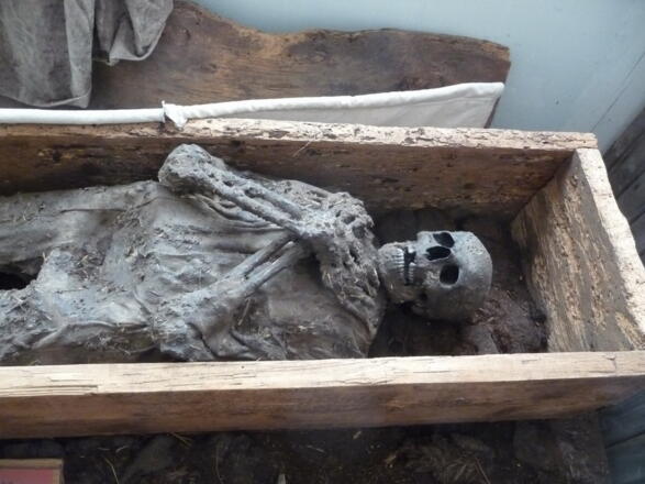 Moorleiche Rosalinde