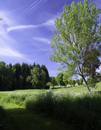 Golfanlage in Pfaffing.