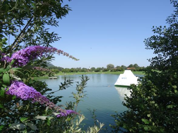 Eisberg im Reifinger See