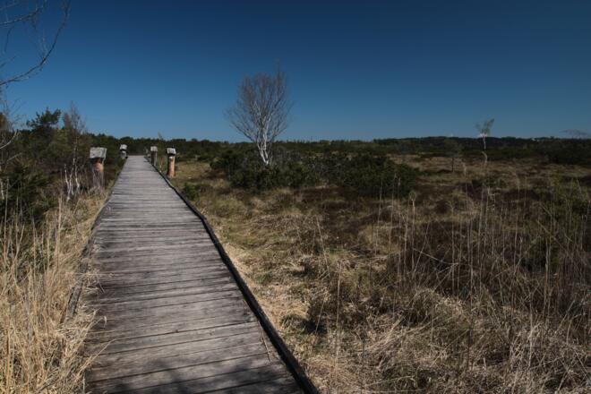 Weg zur Aussichtsplattform