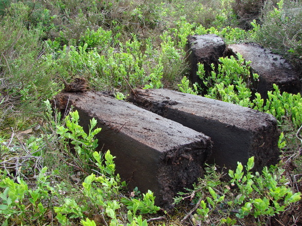 Frisch gestochene Torfsoden