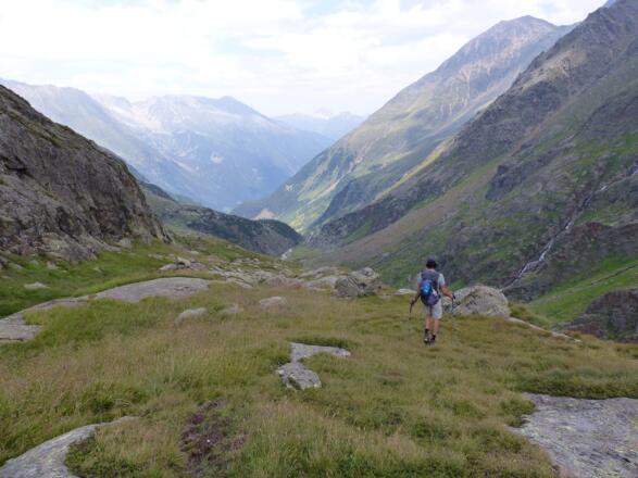Noch vor dem Felsrücken münden wir in das Steiglein ein.