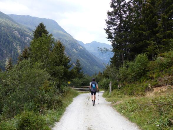 Von der Bsuechalm folgen wir anfangs dem Forstweg bis ...