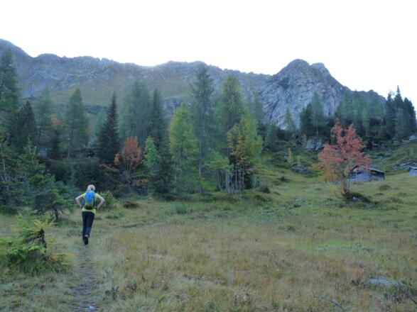 Nach der Trogstufe gelangen wir zu den Hochmähdern mit den Heuschupfen.