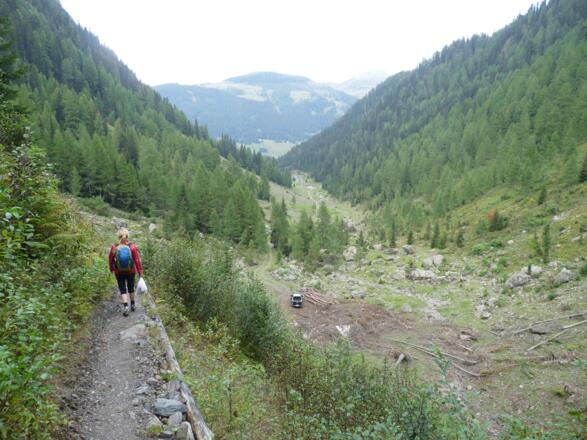 Blick talauswärts über das Schöntal. Die Forststraße ist gleich erreicht.
