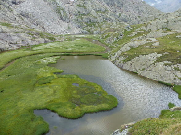 Ein wahres Kleinod inmitten vom Gletscher glattpolierter Felsen.