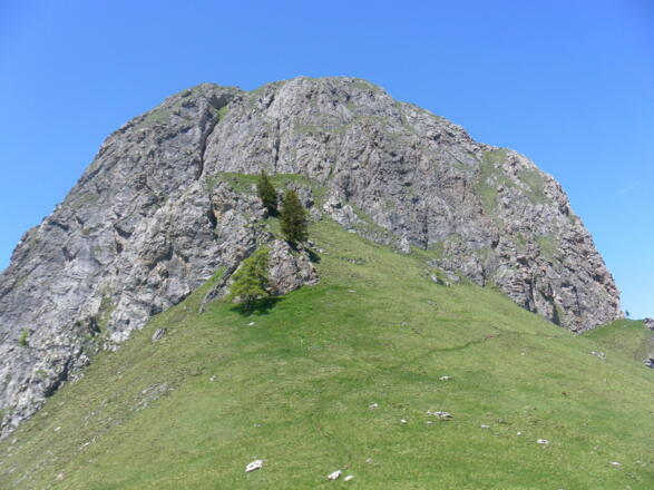 Spitzenstein Südflanke