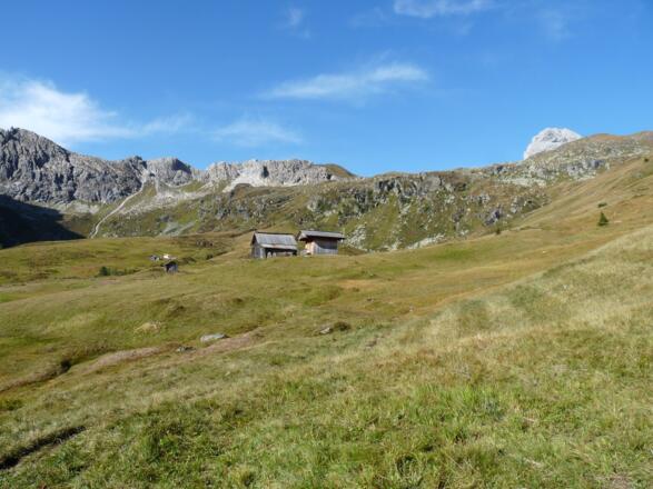 Die Stuckenwiesen - eine Bilderbuchlandschaft. Hinten ragt bereits die Königswand empor.