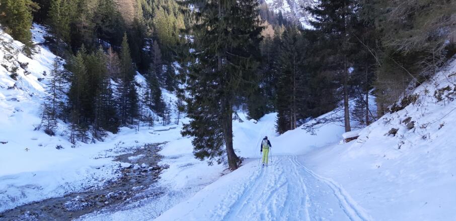 Entlang des Sandesbachs taleinwärts Richtung Tribulaunhütte.