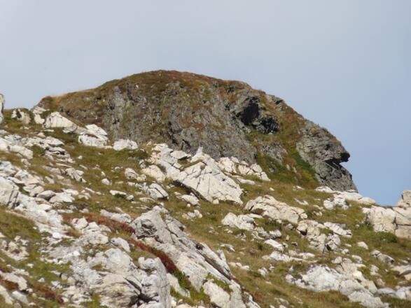 Wunder der Natur - ein &quot;Gesicht&quot; ragt aus dem Boden.