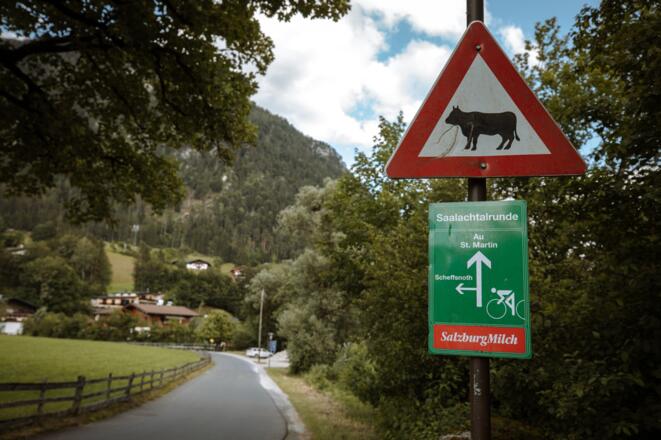 Von Scheffsnoth weiter nach Au