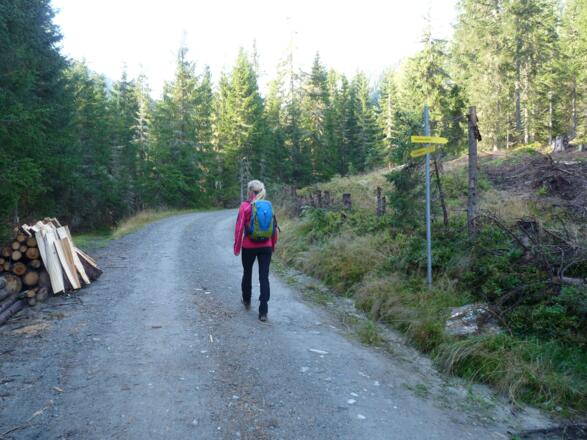 Bei der Wanderung ins Leitnertal lässt sich die Sonne noch nicht blicken.