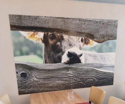 Röstihaus Glusthaferl Zaungäste