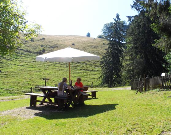 Gemütliche Einkehr auf der Hefter-Alm