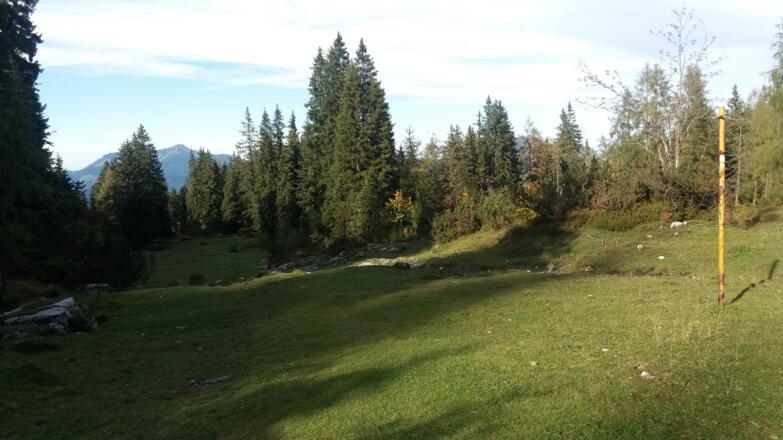 Große &quot;Skitouren-&quot; Lichtung, Blickrichtung Nord (vom Parkplatz kommend).