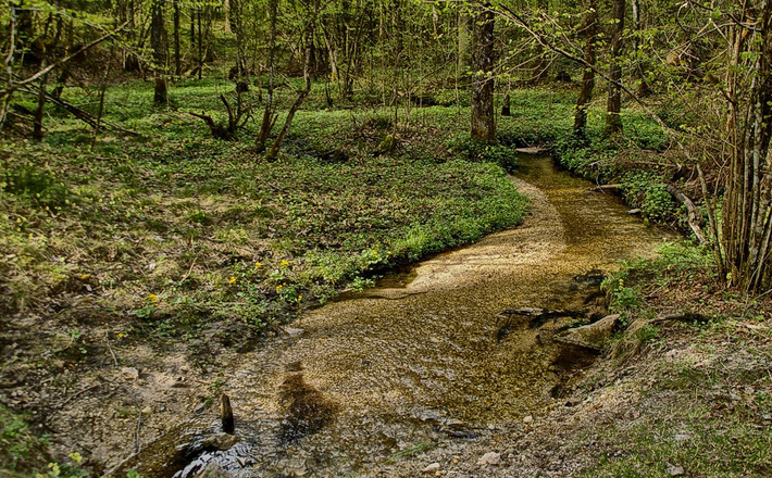 Das Böcklmoos: Moorlandschaft am Böcklweiher in Bischofswiesen