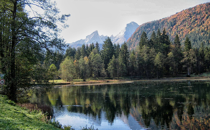 Der Böcklweiher: Einer der schönsten Weiher überhaupt
