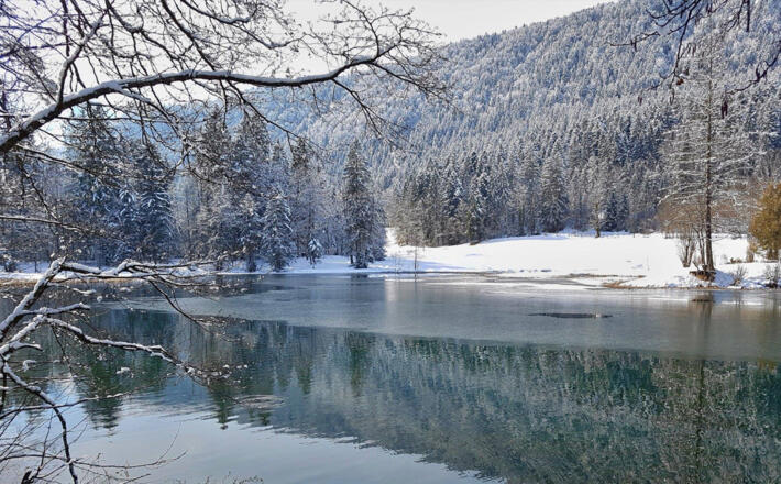Winter am Böcklweiher