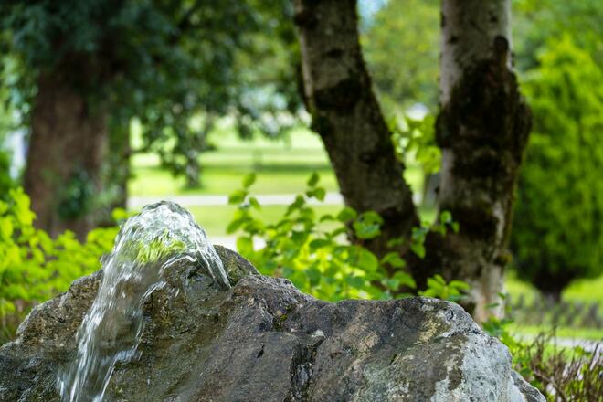 Felsenbrunnen-auwirt