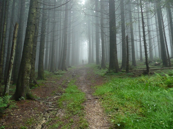 kurz vor dem Zinnkopf - Chiemgauer100