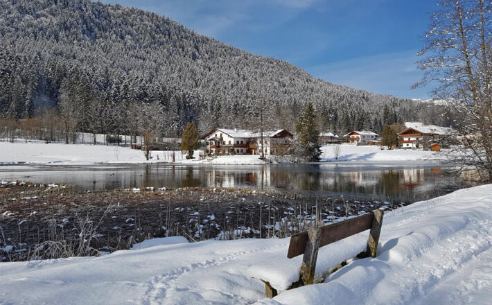 Bank am Böcklweiher