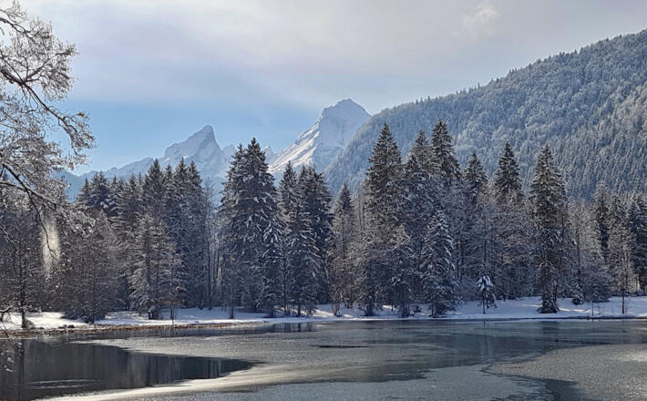 Blick über den winterlichen Böcklweiher zum Watzmann