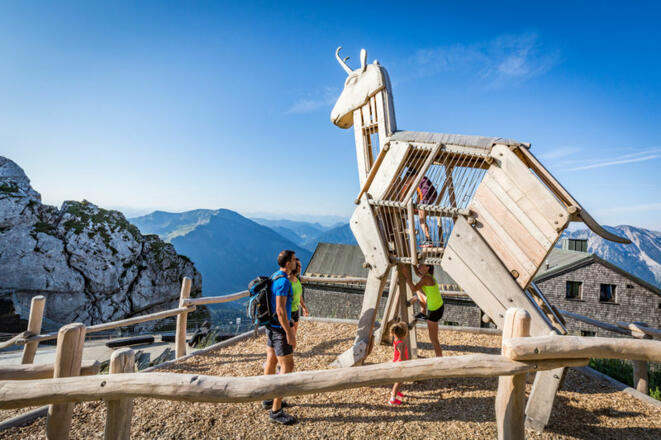 Gams auf dem Spielplatz &quot;Tiere des Wendelsteins&quot;