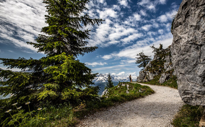 Der Weg zum Jenner Gipfel