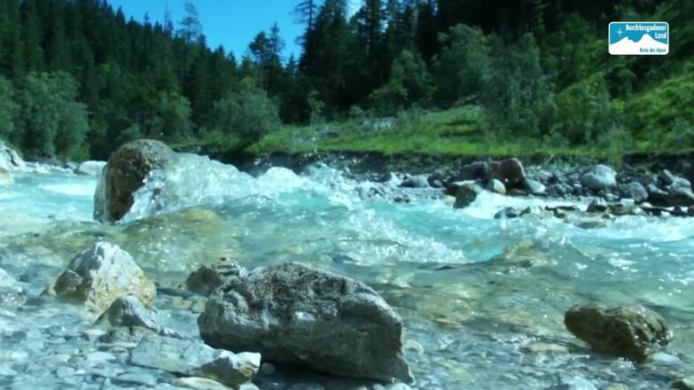 Natur in Bayern: Der Wimbach