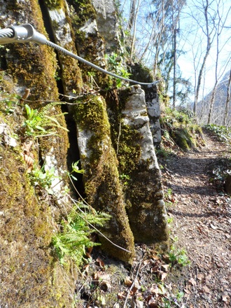 Weg zur Ruine Gutrat