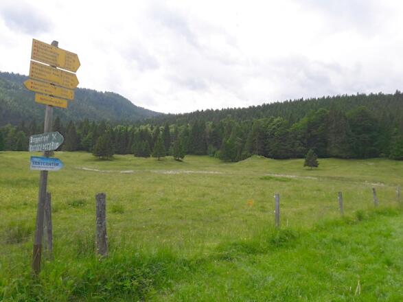 Weiterweg ab Nattersbergalm