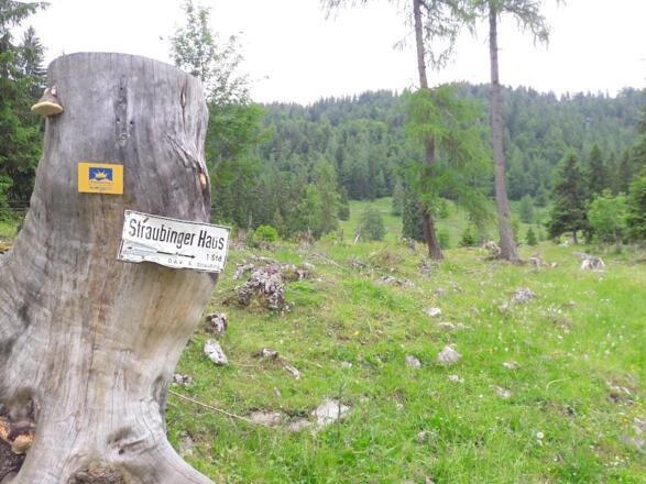 Wegweiser nach der Oberen Hemmersuppenalm