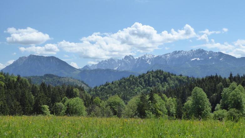 Schwarzenberg Wildgrub