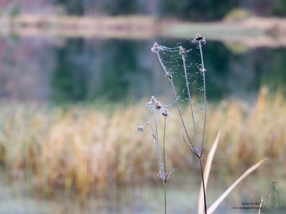 Es gibt so viele Details zu entdecken.