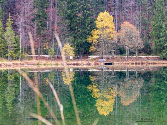 Wie gemalt: Herbst am Frillensee.