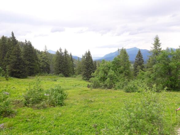 Abwechslungsreiche Landschaft