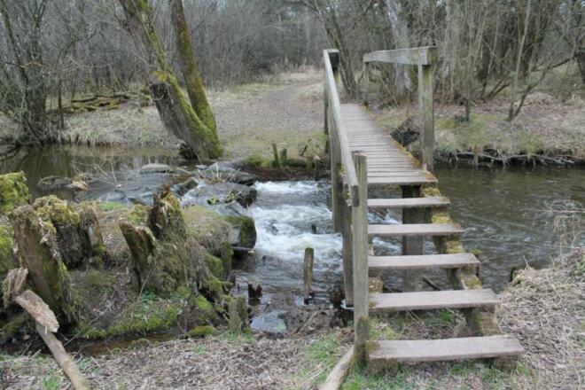 Kleine Brücke im Moorlehrpfad