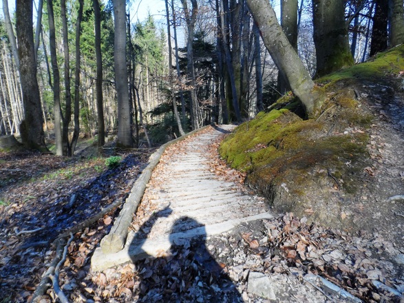 Am Weg zur Ruine Gutrat