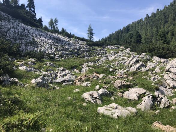 In der Eisbergscharte finden wir schroffe Felsen und von Gras bewachsene Senken.