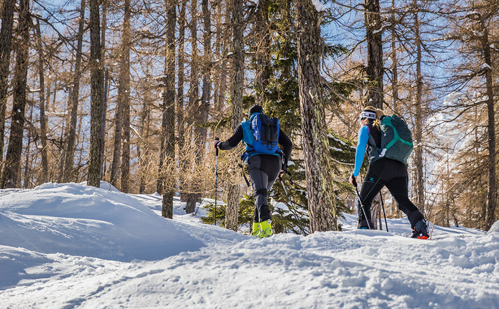 Aufstieg durch den Wald ins Waztzmannkar