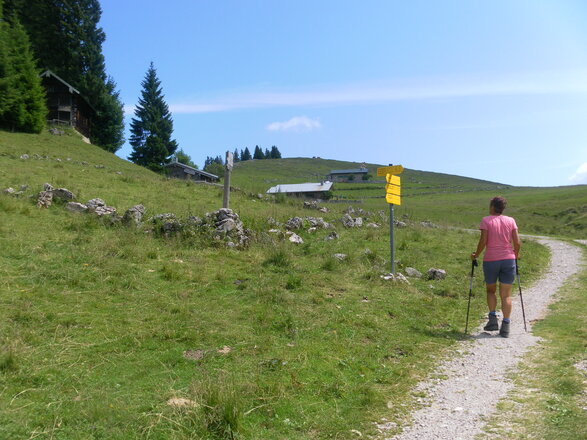 Laubensteinalm