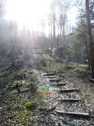 Weg zur Ruine Gutrat